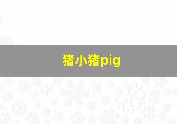 猪小猪pig