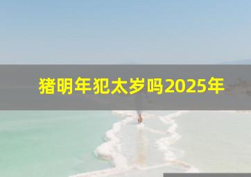 猪明年犯太岁吗2025年