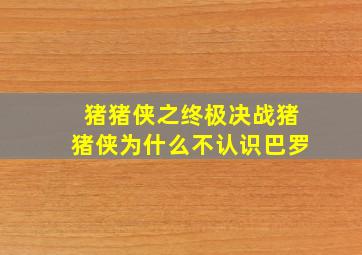 猪猪侠之终极决战猪猪侠为什么不认识巴罗