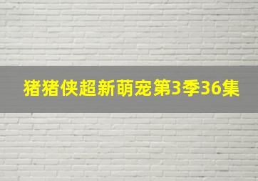 猪猪侠超新萌宠第3季36集