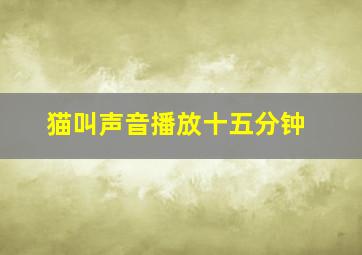 猫叫声音播放十五分钟