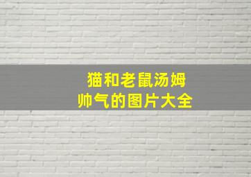 猫和老鼠汤姆帅气的图片大全