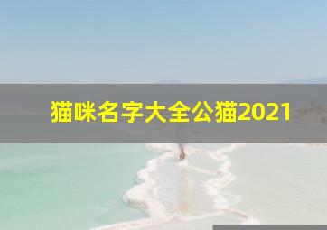 猫咪名字大全公猫2021