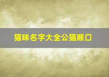 猫咪名字大全公猫顺口