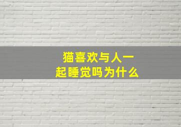 猫喜欢与人一起睡觉吗为什么