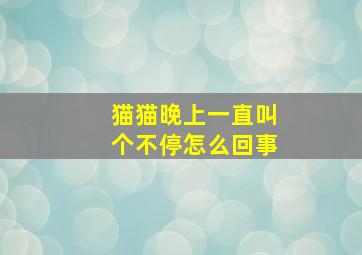 猫猫晚上一直叫个不停怎么回事