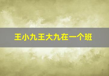 王小九王大九在一个班