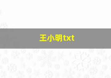 王小明txt