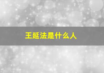 王延法是什么人