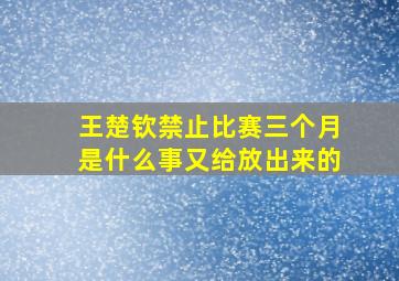 王楚钦禁止比赛三个月是什么事又给放出来的