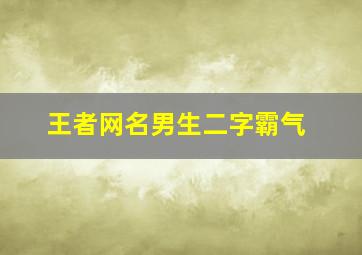 王者网名男生二字霸气