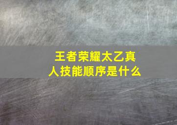 王者荣耀太乙真人技能顺序是什么