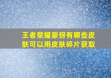 王者荣耀蒙犽有哪些皮肤可以用皮肤碎片获取