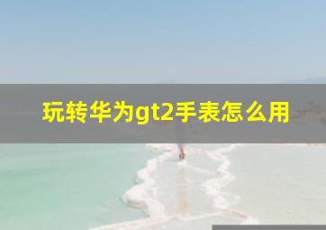 玩转华为gt2手表怎么用