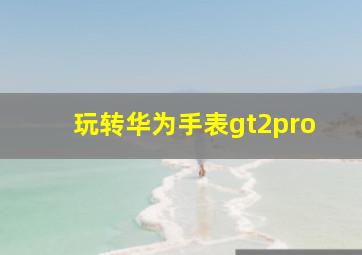 玩转华为手表gt2pro