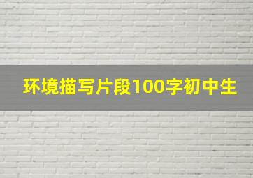 环境描写片段100字初中生