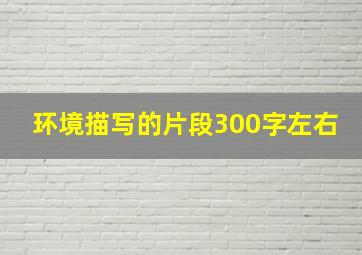 环境描写的片段300字左右