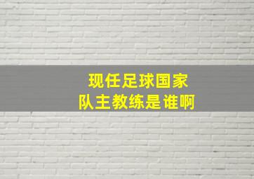 现任足球国家队主教练是谁啊