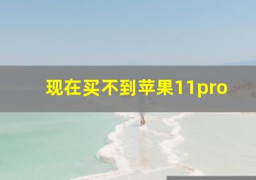 现在买不到苹果11pro