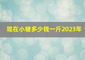 现在小猪多少钱一斤2023年