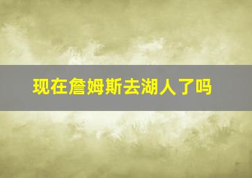 现在詹姆斯去湖人了吗