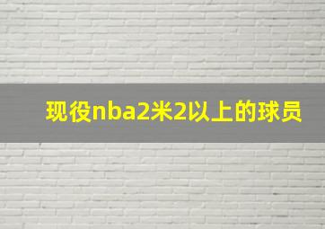 现役nba2米2以上的球员