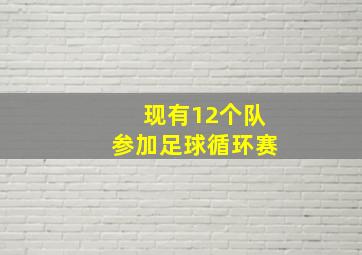 现有12个队参加足球循环赛