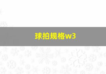 球拍规格w3