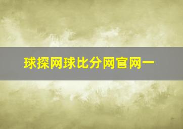 球探网球比分网官网一