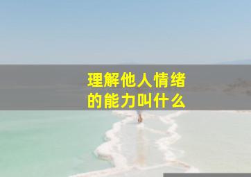 理解他人情绪的能力叫什么