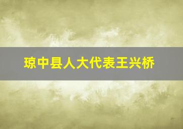 琼中县人大代表王兴桥