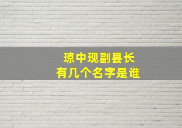 琼中现副县长有几个名字是谁