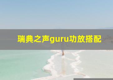 瑞典之声guru功放搭配