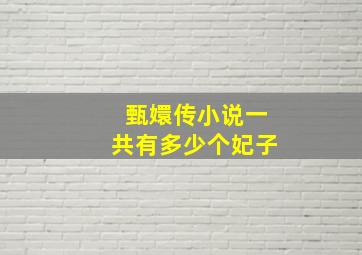 甄嬛传小说一共有多少个妃子