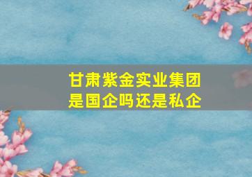 甘肃紫金实业集团是国企吗还是私企