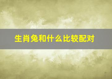 生肖兔和什么比较配对