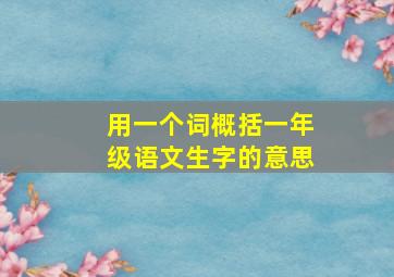 用一个词概括一年级语文生字的意思