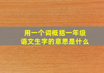 用一个词概括一年级语文生字的意思是什么