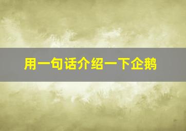 用一句话介绍一下企鹅