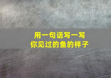 用一句话写一写你见过的鱼的样子