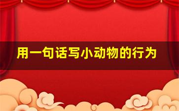 用一句话写小动物的行为