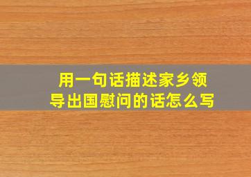 用一句话描述家乡领导出国慰问的话怎么写