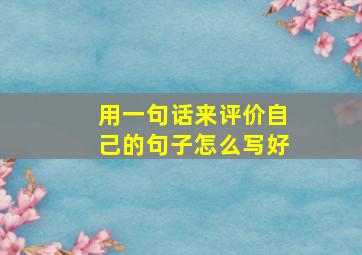 用一句话来评价自己的句子怎么写好