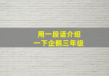 用一段话介绍一下企鹅三年级