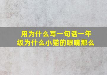 用为什么写一句话一年级为什么小猫的眼睛那么