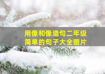 用像和像造句二年级简单的句子大全图片