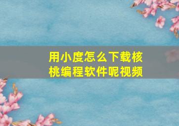 用小度怎么下载核桃编程软件呢视频