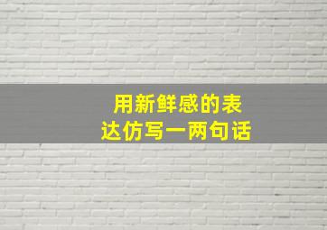 用新鲜感的表达仿写一两句话