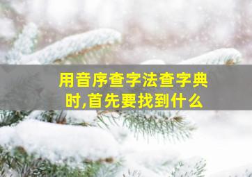 用音序查字法查字典时,首先要找到什么