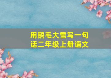 用鹅毛大雪写一句话二年级上册语文